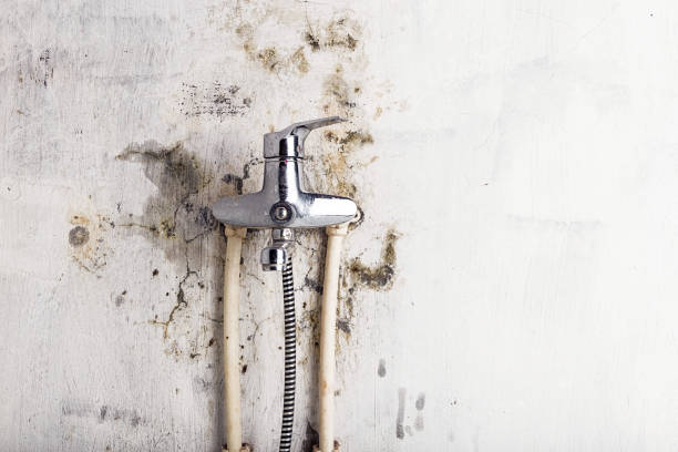 Best Mold Testing  in Fountain Valley, CA