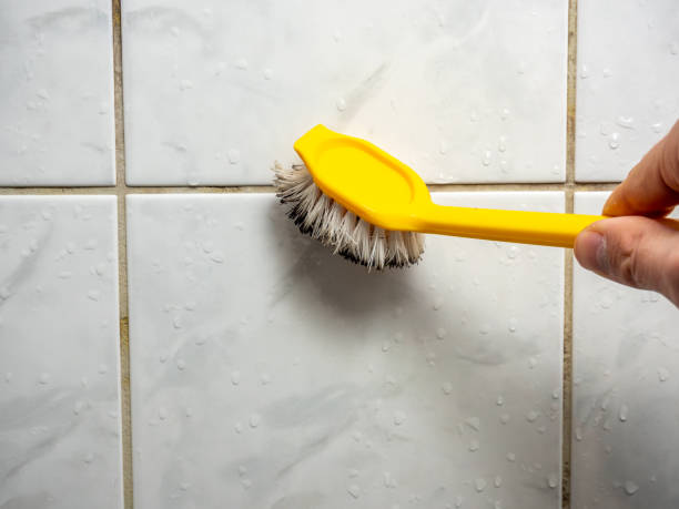 Best Local Mold Removal Service  in Fountain Valley, CA