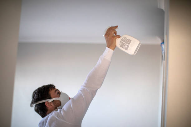 Best Attic Mold Removal  in Fountain Valley, CA